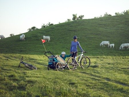 Przyczepka rowerowa dla dziecka Sport 2 - zielona/niebieska